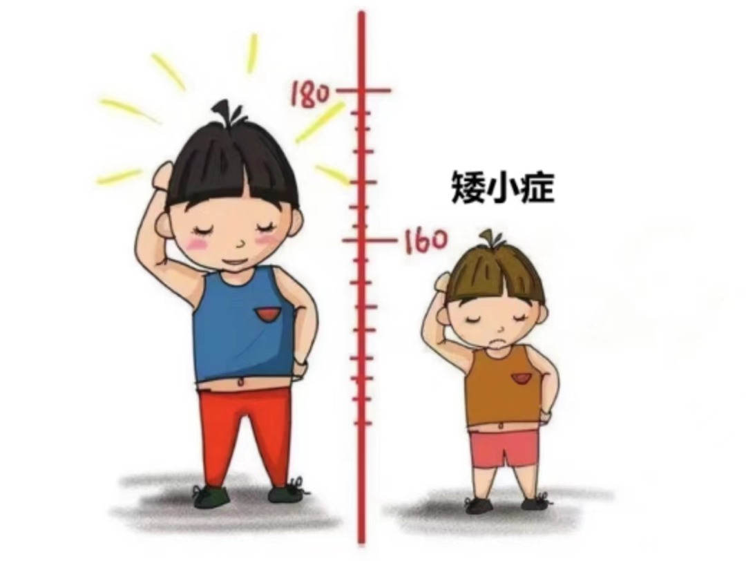 长高激素针全解析：价格、疗程与科学使用指南