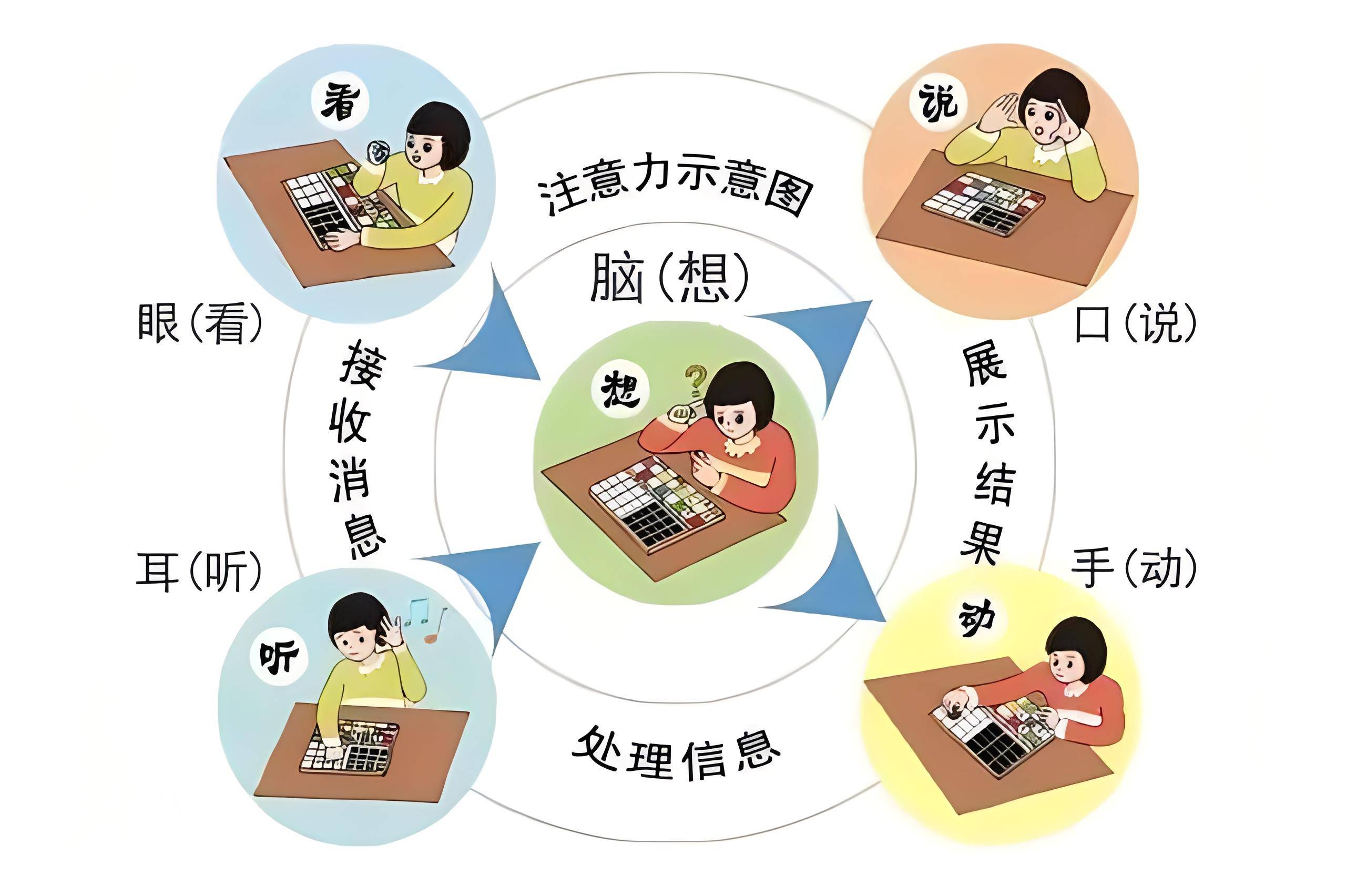 摆脱注意力困局：有效改善注意力不集中与走神